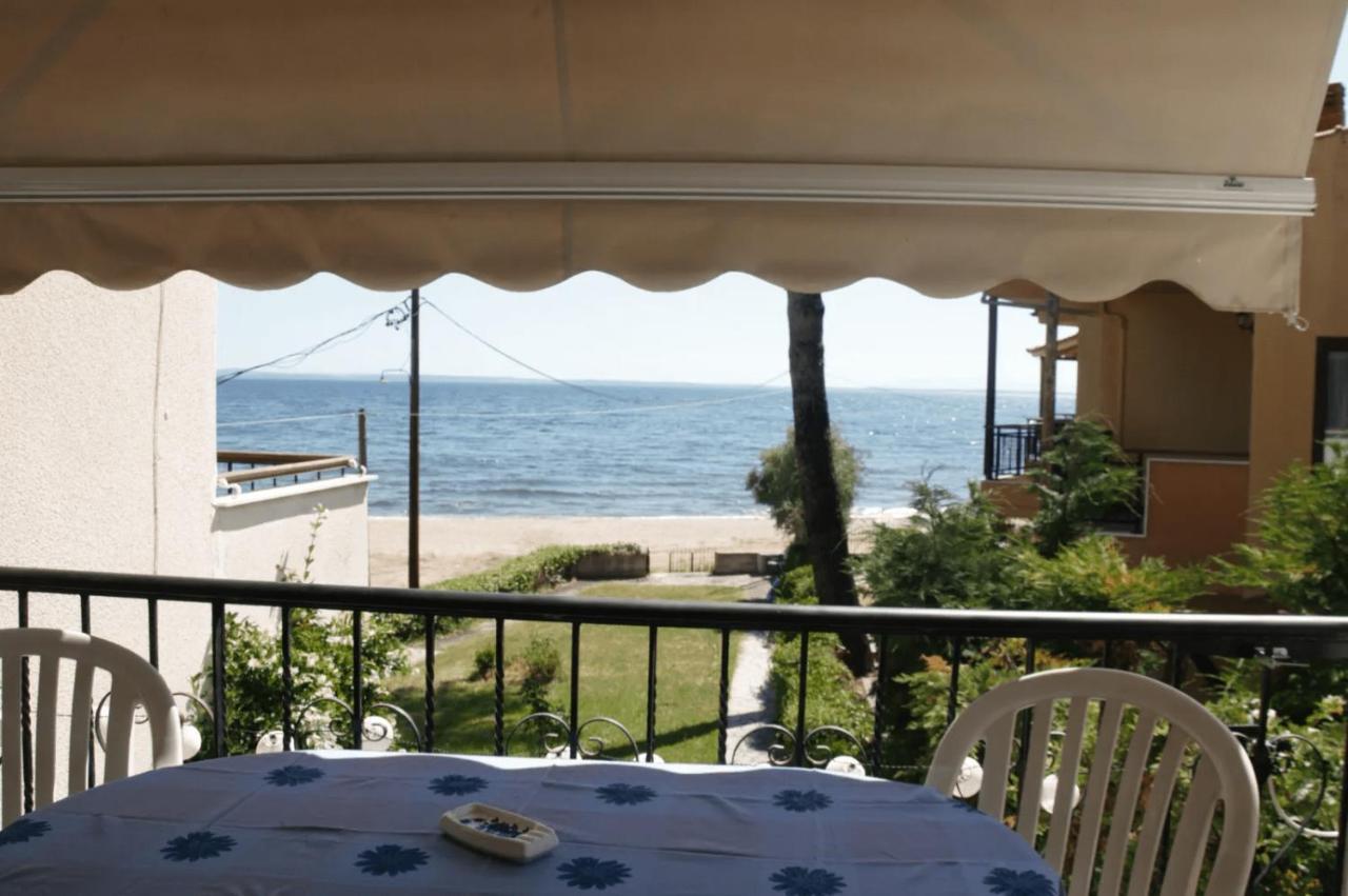 사코우디아 Seahouse With View 아파트 외부 사진